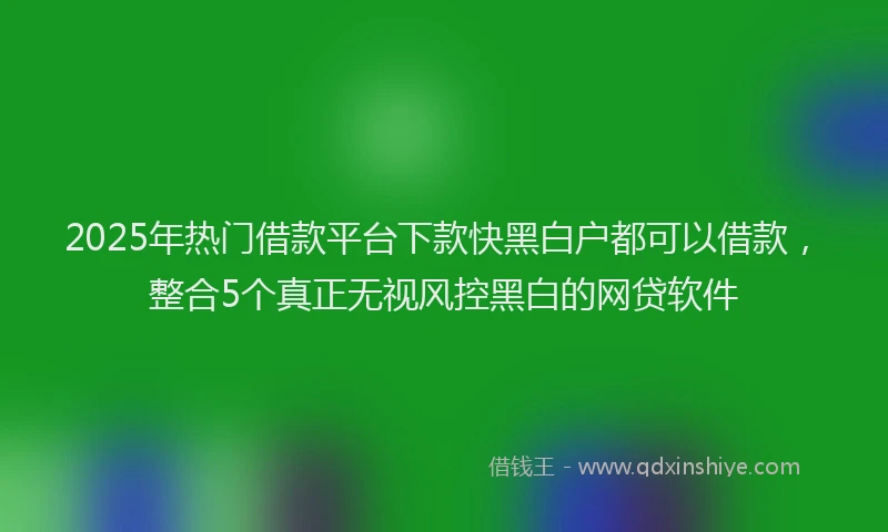 2025年热门借款平台下款快黑白户都可以借款，整合5个真正无视风控黑白的网贷软件