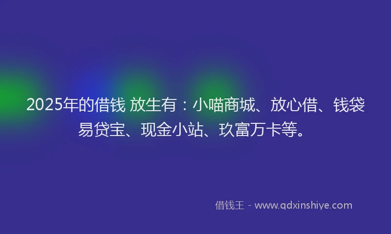 2025年的借钱 放生有：小喵商城、放心借、钱袋易贷宝、现金小站、玖富万卡等。