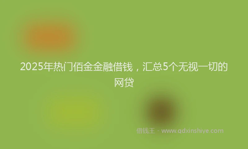 2025年热门佰金金融借钱，汇总5个无视一切的网贷