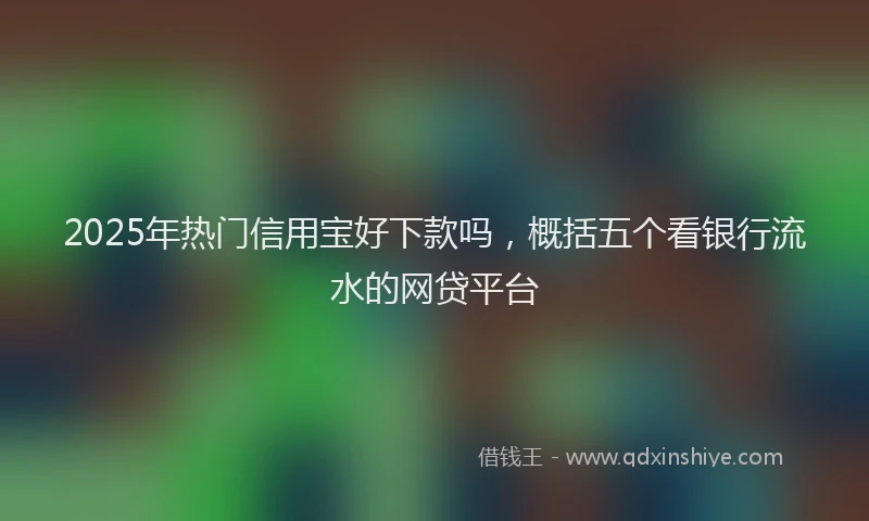 2025年热门信用宝好下款吗，概括五个看银行流水的网贷平台