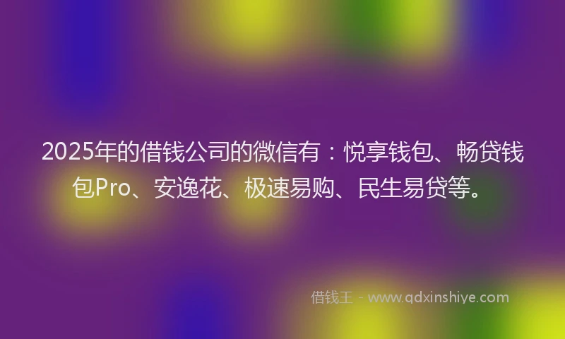 2025年的借钱公司的微信有：悦享钱包、畅贷钱包Pro、安逸花、极速易购、民生易贷等。