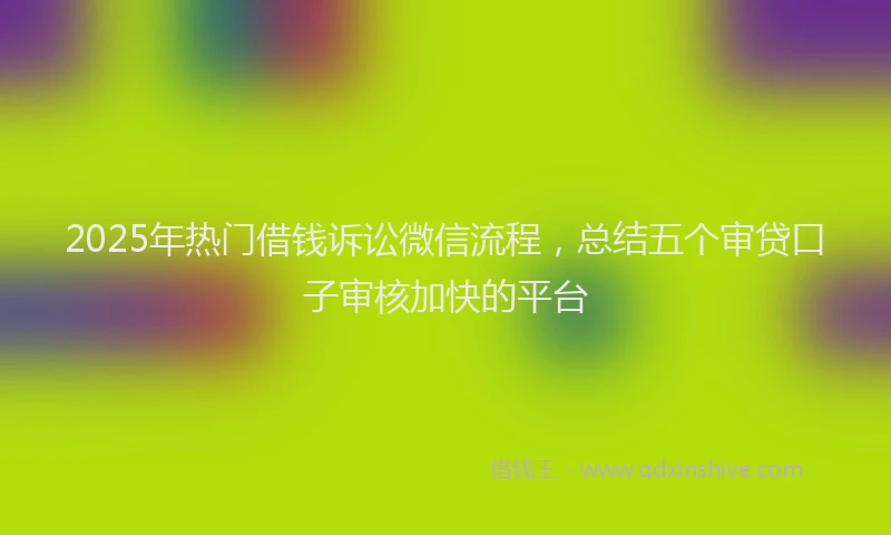 2025年热门借钱诉讼微信流程，总结五个审贷口子审核加快的平台