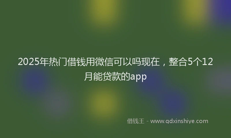 2025年热门借钱用微信可以吗现在，整合5个12月能贷款的app
