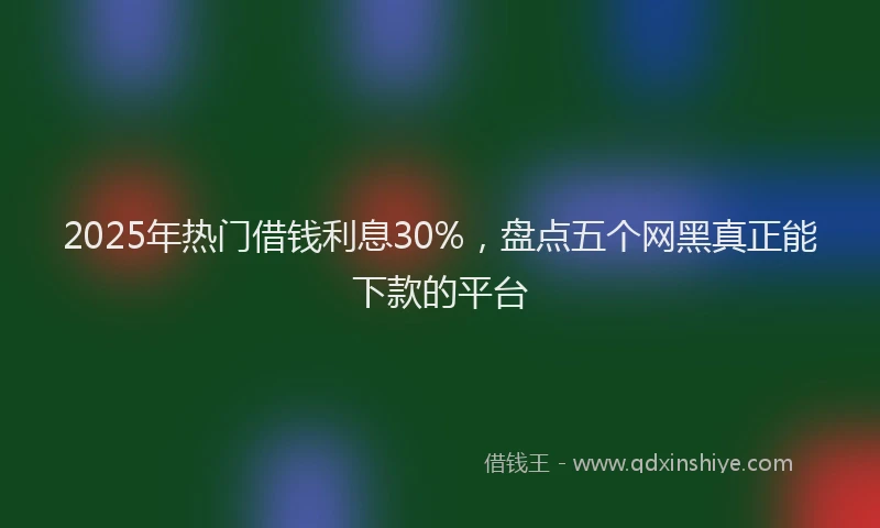 2025年热门借钱利息30%，盘点五个网黑真正能下款的平台