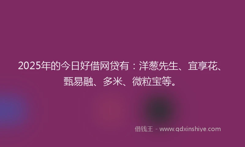 2025年的今日好借网贷有：洋葱先生、宜享花、甄易融、多米、微粒宝等。