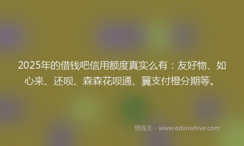 2025年的借钱吧信用额度真实么有：友好物、如心来、还呗、森森花呗通、翼支付橙分期等。
