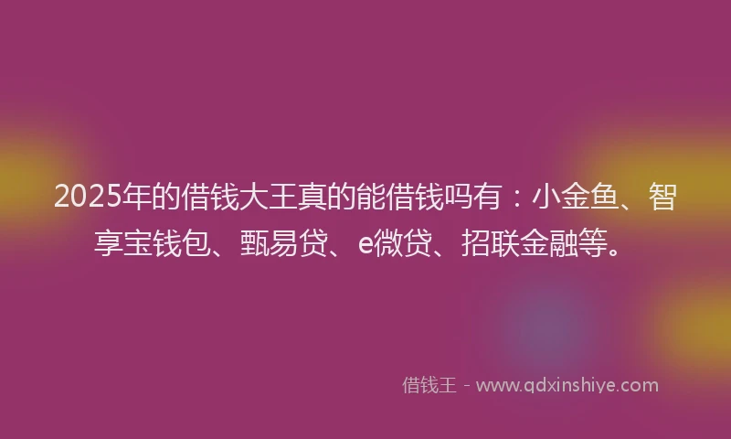 2025年的借钱大王真的能借钱吗有：小金鱼、智享宝钱包、甄易贷、e微贷、招联金融等。