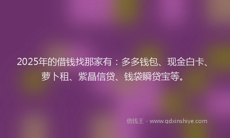 2025年的借钱找那家有：多多钱包、现金白卡、萝卜租、紫晶信贷、钱袋瞬贷宝等。