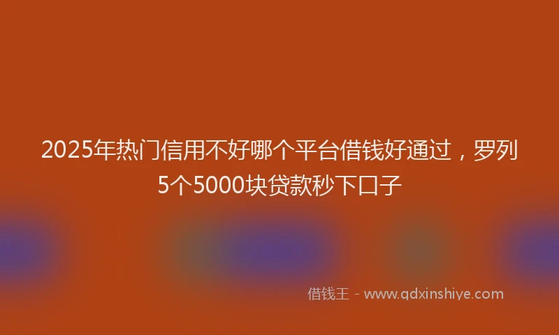2025年热门信用不好哪个平台借钱好通过，罗列5个5000块贷款秒下口子