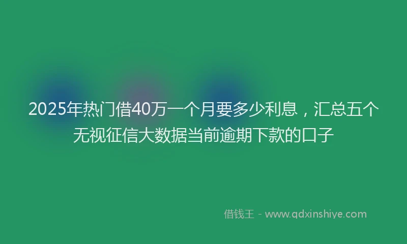 2025年热门借40万一个月要多少利息，汇总五个无视征信大数据当前逾期下款的口子