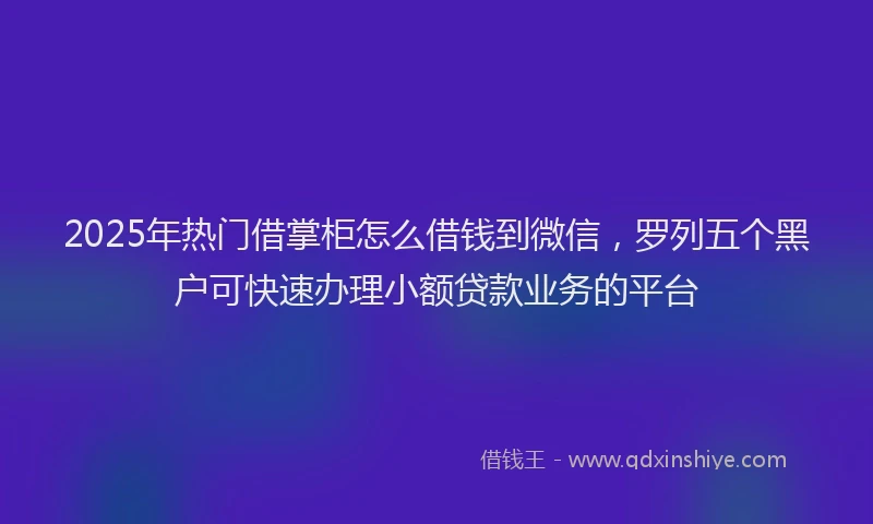 2025年热门借掌柜怎么借钱到微信，罗列五个黑户可快速办理小额贷款业务的平台