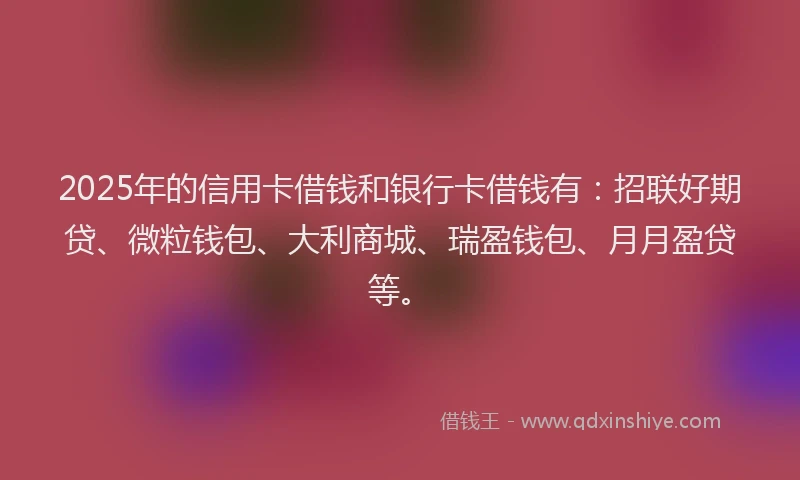 2025年的信用卡借钱和银行卡借钱有：招联好期贷、微粒钱包、大利商城、瑞盈钱包、月月盈贷等。