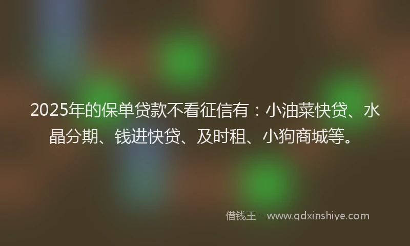 2025年的保单贷款不看征信有：小油菜快贷、水晶分期、钱进快贷、及时租、小狗商城等。