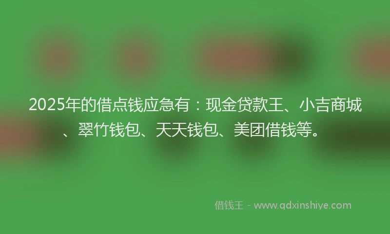 2025年的借点钱应急有：现金贷款王、小吉商城、翠竹钱包、天天钱包、美团借钱等。