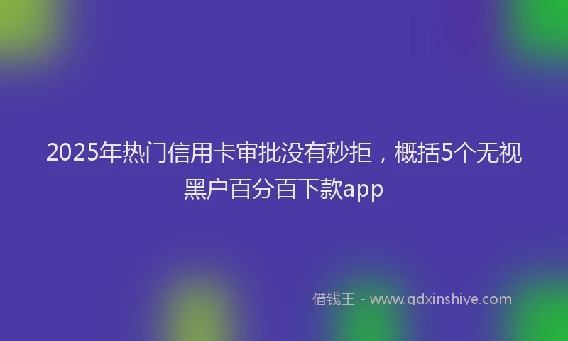 2025年热门信用卡审批没有秒拒，概括5个无视黑户百分百下款app