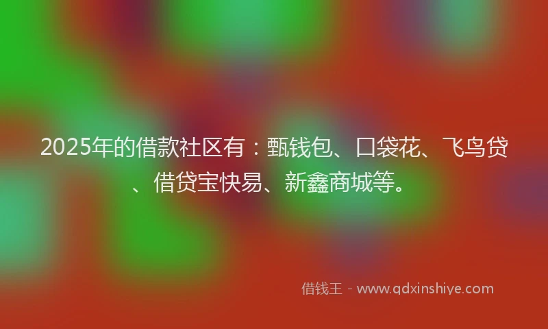 2025年的借款社区有：甄钱包、口袋花、飞鸟贷、借贷宝快易、新鑫商城等。