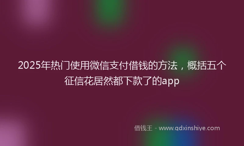 2025年热门使用微信支付借钱的方法，概括五个征信花居然都下款了的app