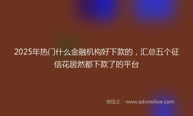 2025年热门什么金融机构好下款的，汇总五个征信花居然都下款了的平台