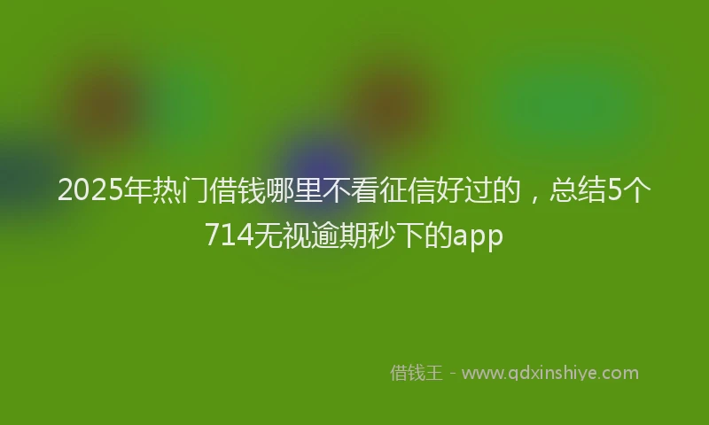 2025年热门借钱哪里不看征信好过的，总结5个714无视逾期秒下的app