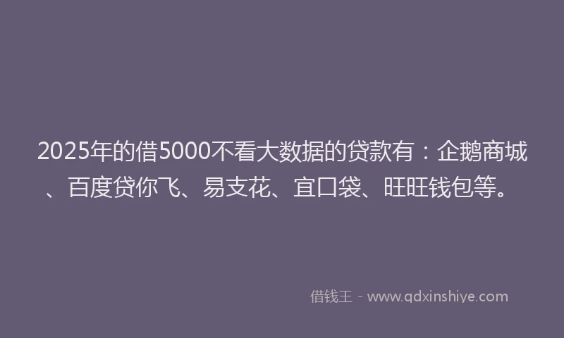 2025年的借5000不看大数据的贷款有：企鹅商城、百度贷你飞、易支花、宜口袋、旺旺钱包等。