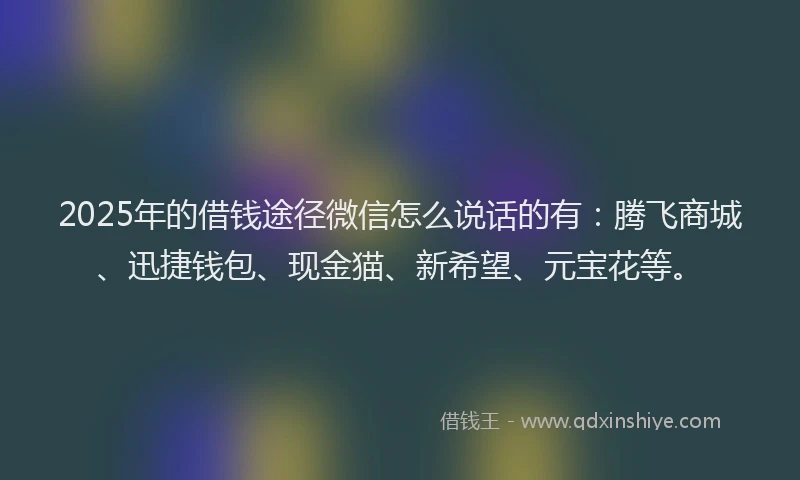 2025年的借钱途径微信怎么说话的有：腾飞商城、迅捷钱包、现金猫、新希望、元宝花等。