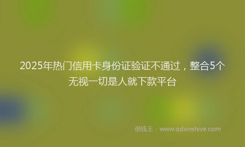 2025年热门信用卡身份证验证不通过，整合5个无视一切是人就下款平台