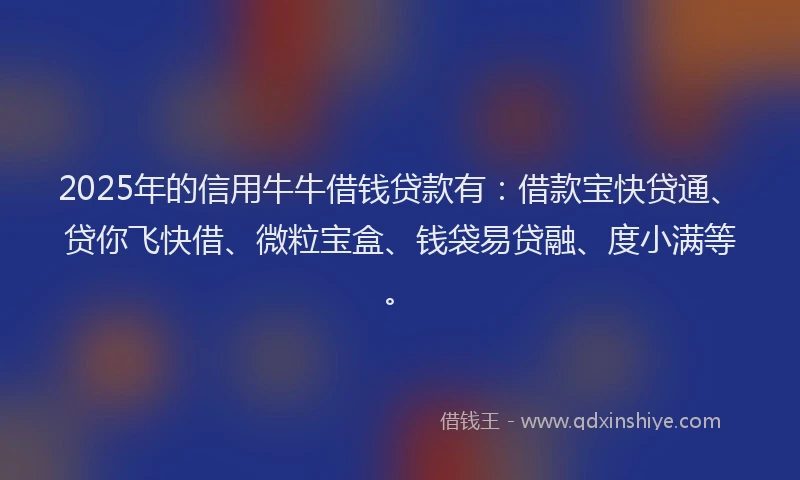 2025年的信用牛牛借钱贷款有：借款宝快贷通、贷你飞快借、微粒宝盒、钱袋易贷融、度小满等。