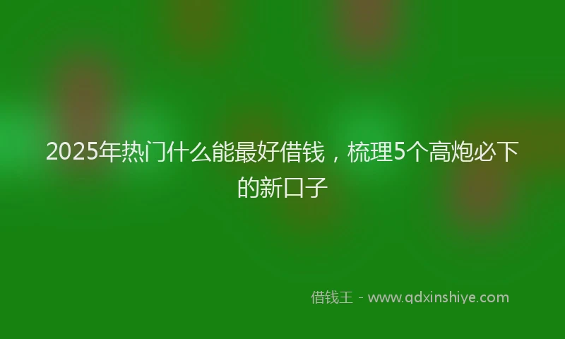 2025年热门什么能最好借钱，梳理5个高炮必下的新口子