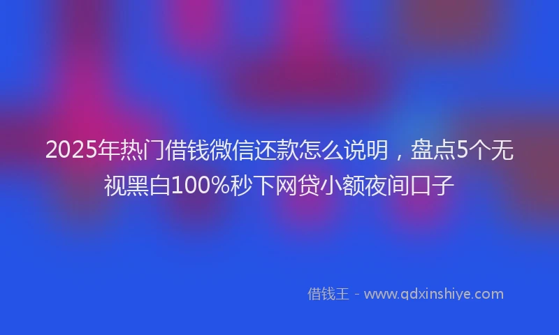 2025年热门借钱微信还款怎么说明，盘点5个无视黑白100%秒下网贷小额夜间口子