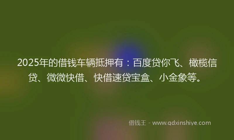 2025年的借钱车辆抵押有：百度贷你飞、橄榄信贷、微微快借、快借速贷宝盒、小金象等。