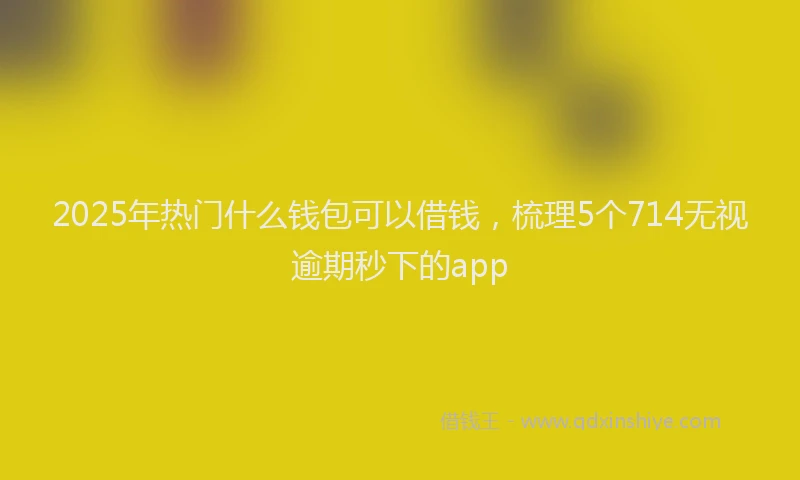2025年热门什么钱包可以借钱，梳理5个714无视逾期秒下的app