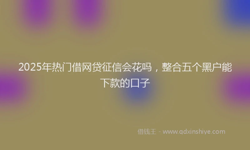 2025年热门借网贷征信会花吗，整合五个黑户能下款的口子
