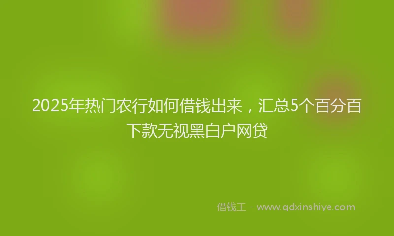 2025年热门农行如何借钱出来，汇总5个百分百下款无视黑白户网贷