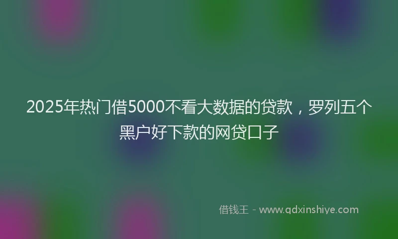 2025年热门借5000不看大数据的贷款，罗列五个黑户好下款的网贷口子