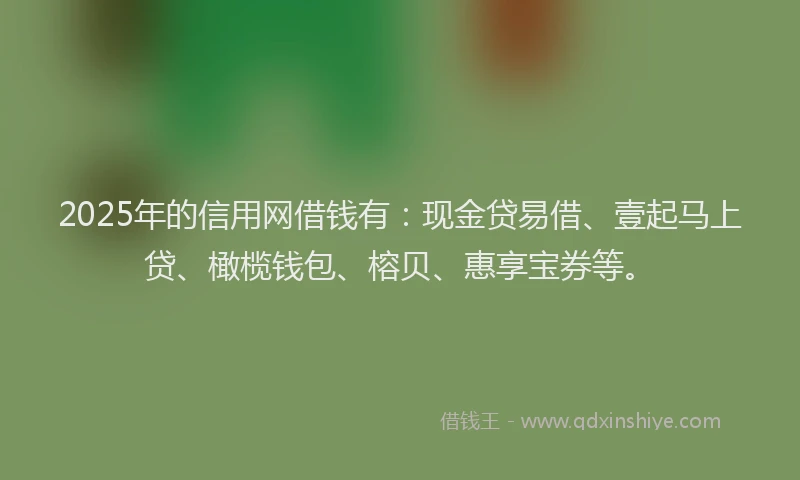 2025年的信用网借钱有：现金贷易借、壹起马上贷、橄榄钱包、榕贝、惠享宝券等。