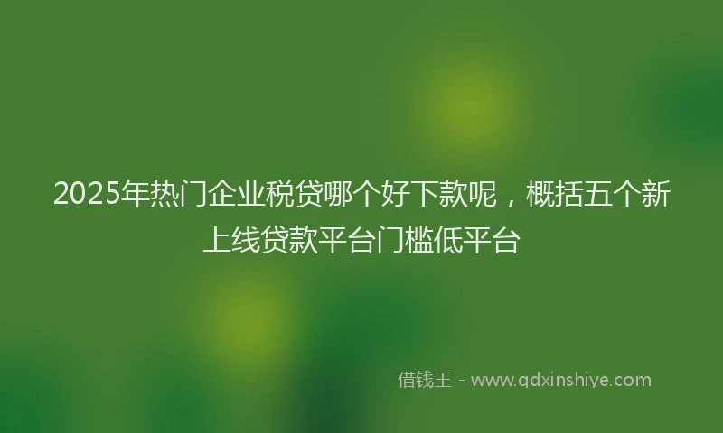 2025年热门企业税贷哪个好下款呢，概括五个新上线贷款平台门槛低平台