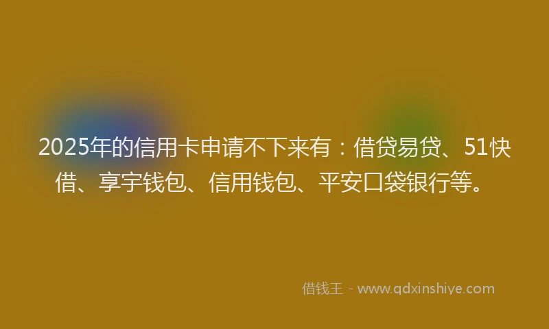 2025年的信用卡申请不下来有：借贷易贷、51快借、享宇钱包、信用钱包、平安口袋银行等。