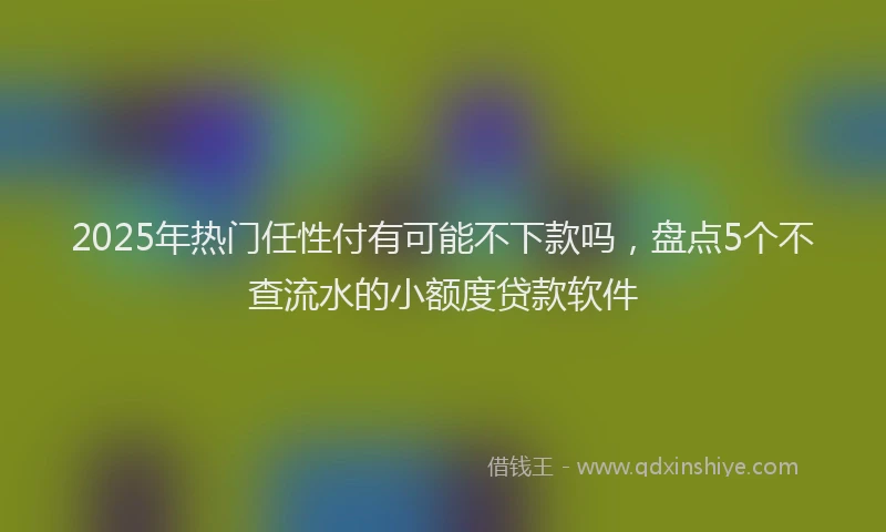 2025年热门任性付有可能不下款吗，盘点5个不查流水的小额度贷款软件