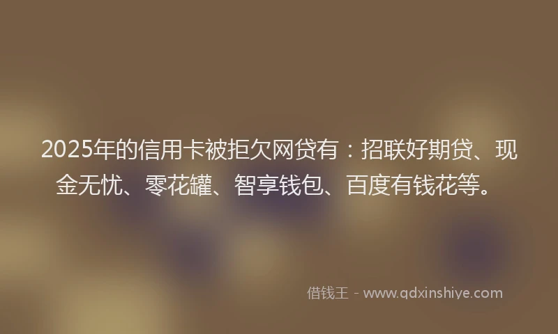 2025年的信用卡被拒欠网贷有：招联好期贷、现金无忧、零花罐、智享钱包、百度有钱花等。