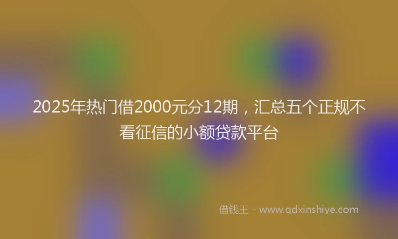 2025年热门借2000元分12期，汇总五个正规不看征信的小额贷款平台
