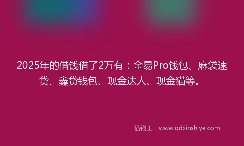 2025年的借钱借了2万有：金易Pro钱包、麻袋速贷、鑫贷钱包、现金达人、现金猫等。