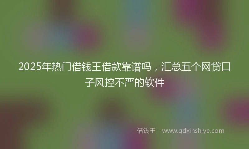 2025年热门借钱王借款靠谱吗，汇总五个网贷口子风控不严的软件
