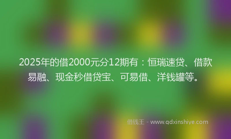 2025年的借2000元分12期有：恒瑞速贷、借款易融、现金秒借贷宝、可易借、洋钱罐等。