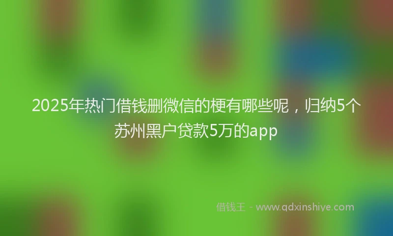 2025年热门借钱删微信的梗有哪些呢，归纳5个苏州黑户贷款5万的app