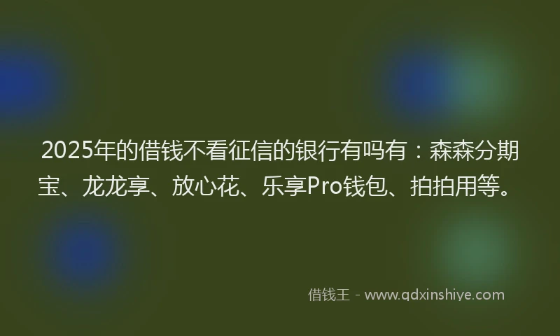 2025年的借钱不看征信的银行有吗有：森森分期宝、龙龙享、放心花、乐享Pro钱包、拍拍用等。