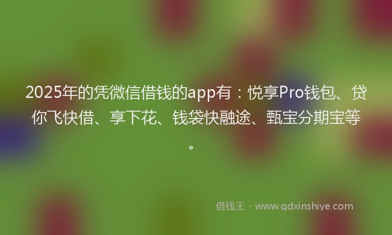 2025年的凭微信借钱的app有：悦享Pro钱包、贷你飞快借、享下花、钱袋快融途、甄宝分期宝等。