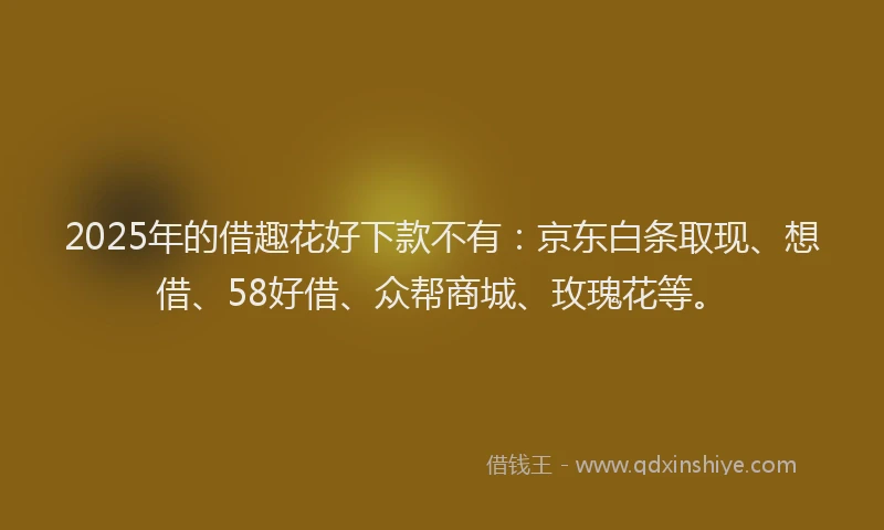 2025年的借趣花好下款不有：京东白条取现、想借、58好借、众帮商城、玫瑰花等。