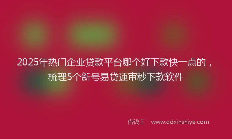 2025年热门企业贷款平台哪个好下款快一点的，梳理5个新号易贷速审秒下款软件