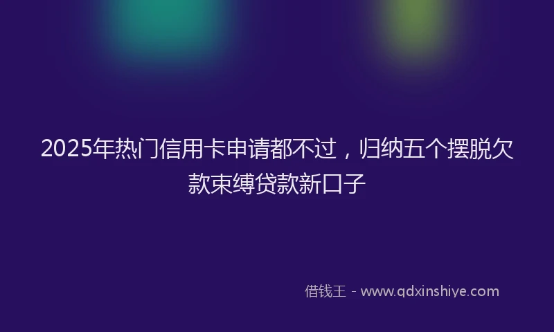 2025年热门信用卡申请都不过，归纳五个摆脱欠款束缚贷款新口子