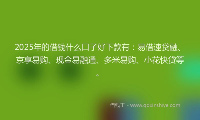 2025年的借钱什么口子好下款有：易借速贷融、京享易购、现金易融通、多米易购、小花快贷等。